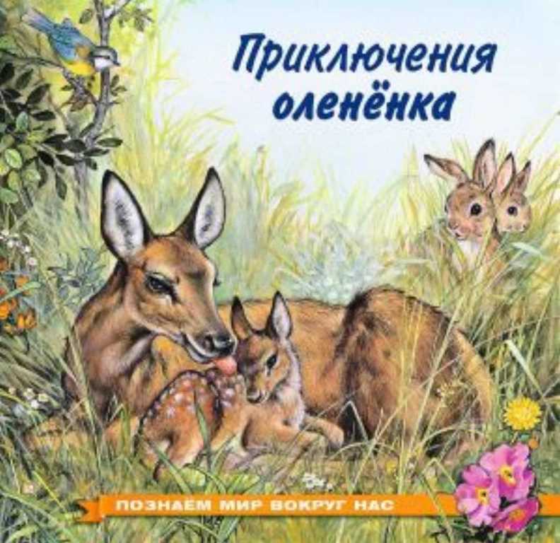 ФЛАМИНГО. ПМВН. Приключения олененка