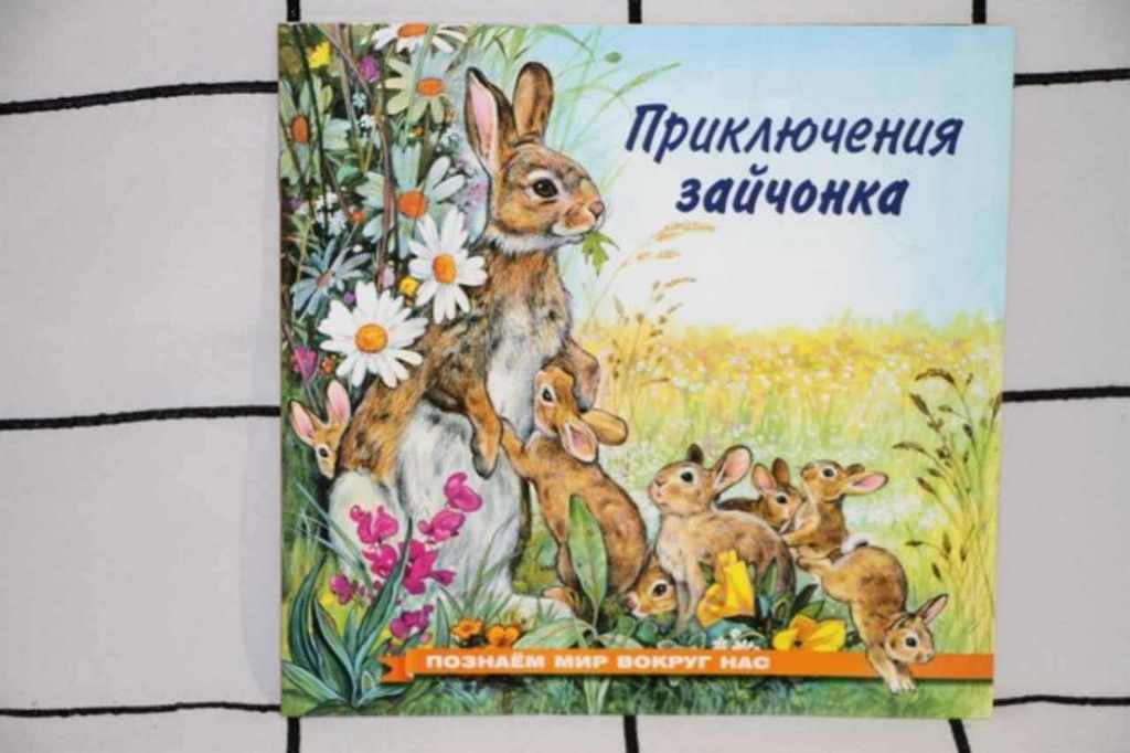 ФЛАМИНГО. ПМВН. Приключения зайчонка