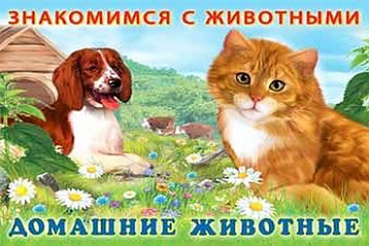 ФЛАМИНГО. КНИЖКА - Знакомимся с животными. (ЗЖ)