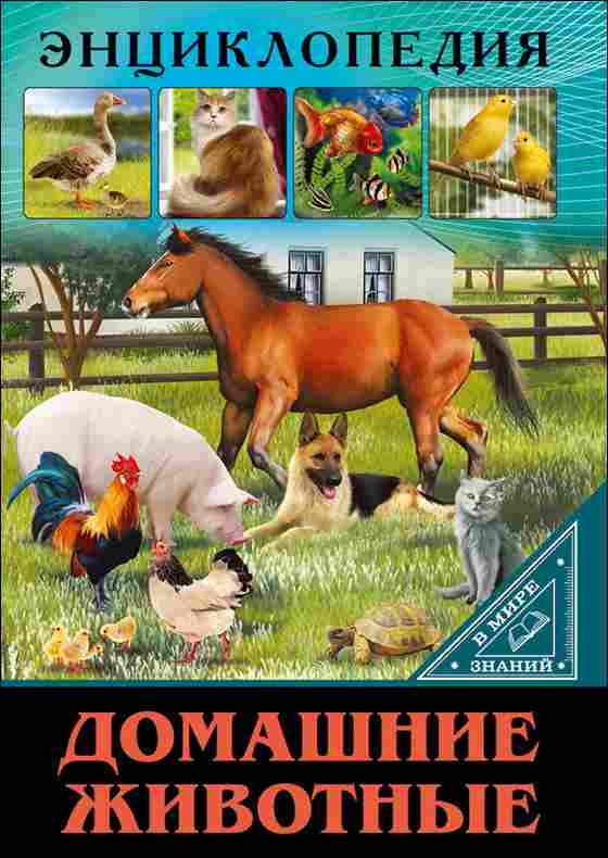 ПРОФ-ПРЕСС. ЭНЦИКЛОПЕДИЯ. В МИРЕ ЗНАНИЙ. ДОМАШНИЕ ЖИВОТНЫЕ