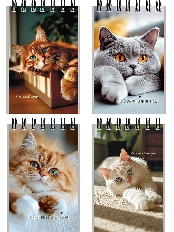 Блокнот А7 40л. на гребне МИЛЫЕ КОТЫ - 3 (Б40-9336) обл.-мел.кар, бл-офс,в клетку