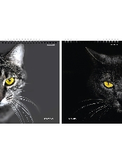 Блокнот А5 80л. КОШАЧИЙ ВЗГЛЯД - 1 (80-7980) ассорти, на гребне, цвет.мелов.обл, блок-офсе