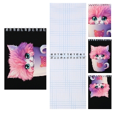 Блокнот А6 (97*141) 40л клетка дв спир обл мягк карт КОКОС Кот в кружке 241469 ассорти 4 вида
