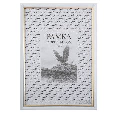 Рамка пластиковая 21*30 KLERK/ZEBRA 231534/100 с небьющимся оргстеклом белый/золото