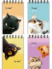 Блокнот А7 40л. на гребне ЗАБАВНЫЕ КОТИКИ - 1 (Б40-6385) обл.-мел.кар, бл-офс,в клетку