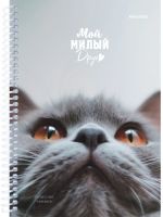 Записная книжка А5, 80л. Мой милый друг (80-3773) на спирали, обл. мелов. картон