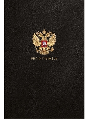 Книга учёта  96л. ГОСУДАРСТВЕННЫЙ СИМВОЛ РОССИИ - 2, клетка(96-8603)перепл.7БЦ,глянц.лам.,блок-офсет