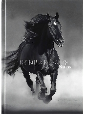 ЕЖЕДНЕВНИК А5, 80л. БЕГ КОНЯ - 1 (80-4700) (7БЦ,глянц.ламин., цвет.мелов обл., недатиров.)