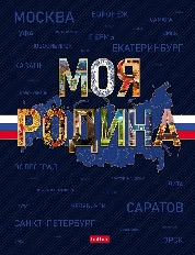Бизнес-блокнот 80л А5ф 167х216мм 5-цв. блок клетка тв.переплет запечат. форзац глянц.