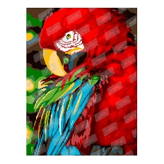 Ркн/ф-327 Набор для творчества раскраска по номерам "Попугай Ара"
