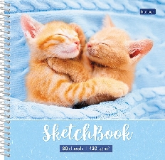 "Premium" Тетрадь SketchBook 80л А5ф 170х170мм 120г/кв.м без линовки с твердой обложкой на пластик.с