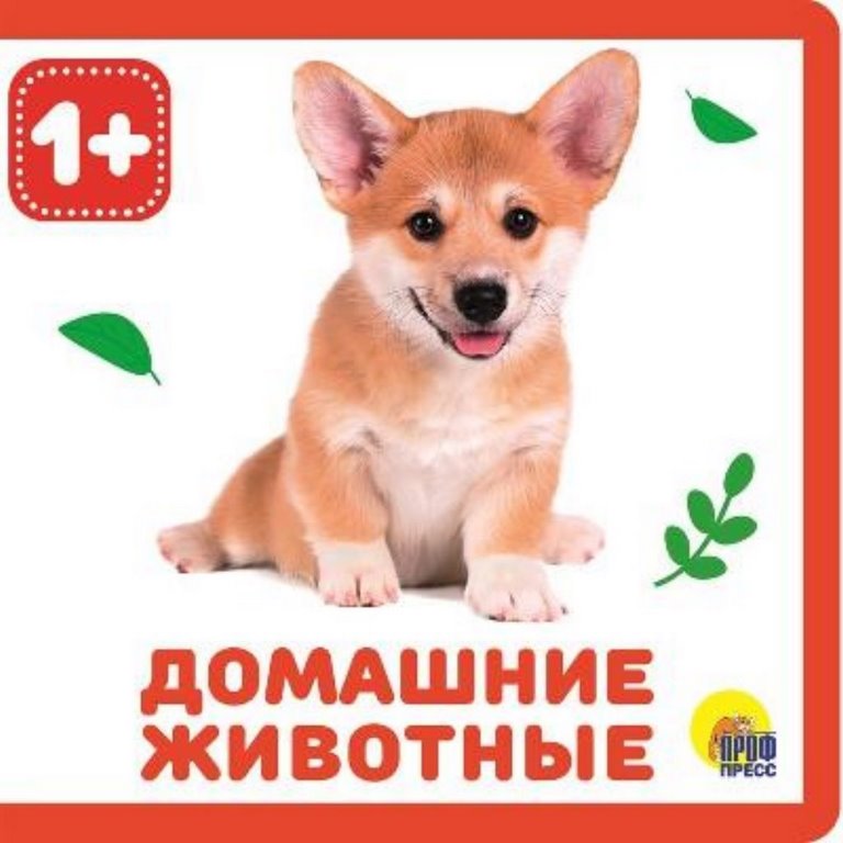 ПРОФ-ПРЕСС. КНИЖКИ НА ПЕНЕ. ДОМАШНИЕ ЖИВОТНЫЕ